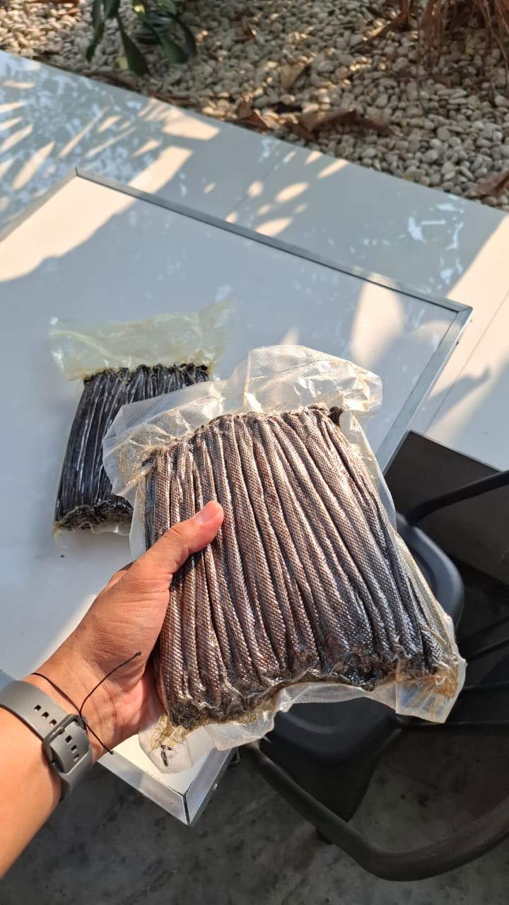 Vanilla beans closeup